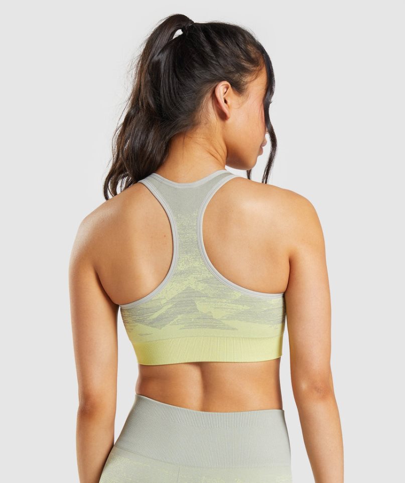 Staniki Sportowe Gymshark Adapt Ombre Seamless Damskie Szare | PL 385BDR